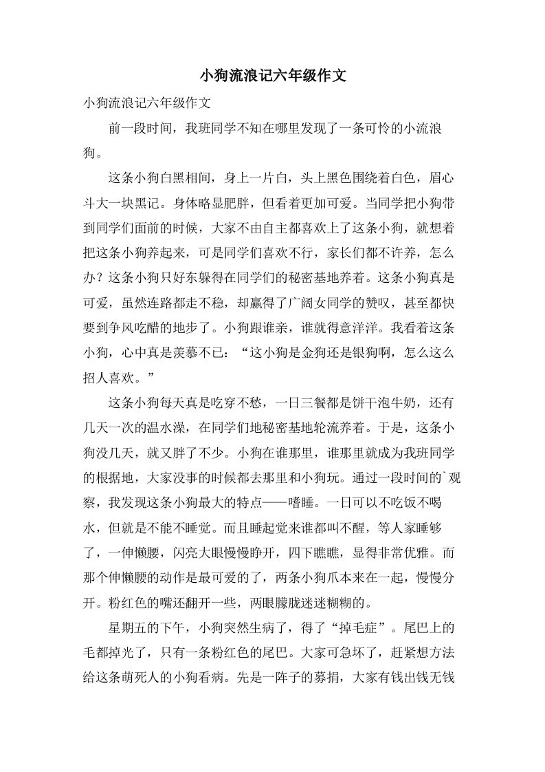 小狗流浪记六年级作文