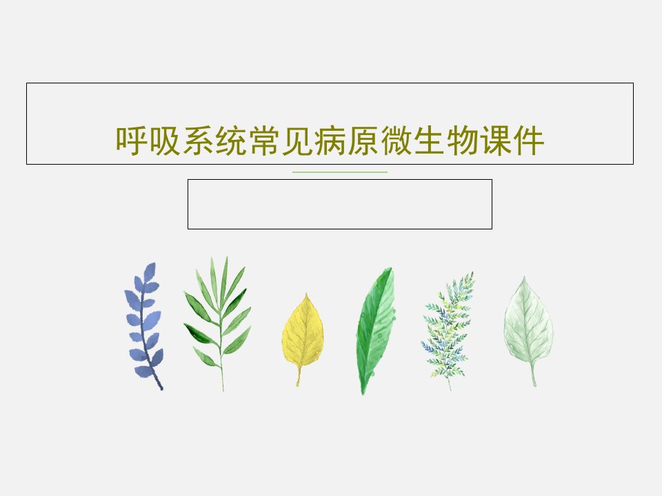 呼吸系统常见病原微生物ppt课件