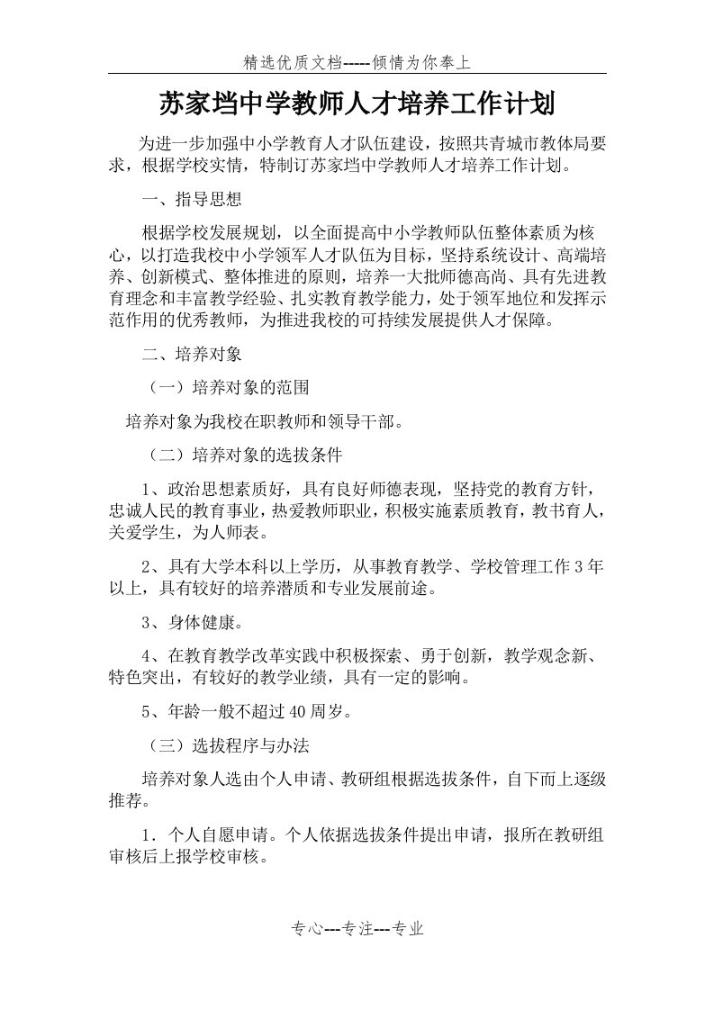 教师人才培养实施方案建(共4页)