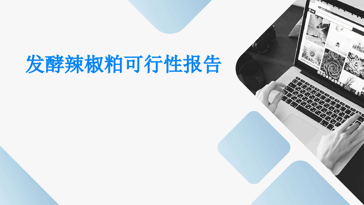 发酵辣椒粕可行性报告