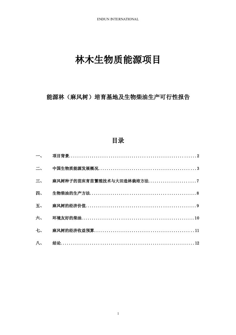 能源林（麻风树）培育基地及生物柴油生产项目立项建设可行性分析论证报告