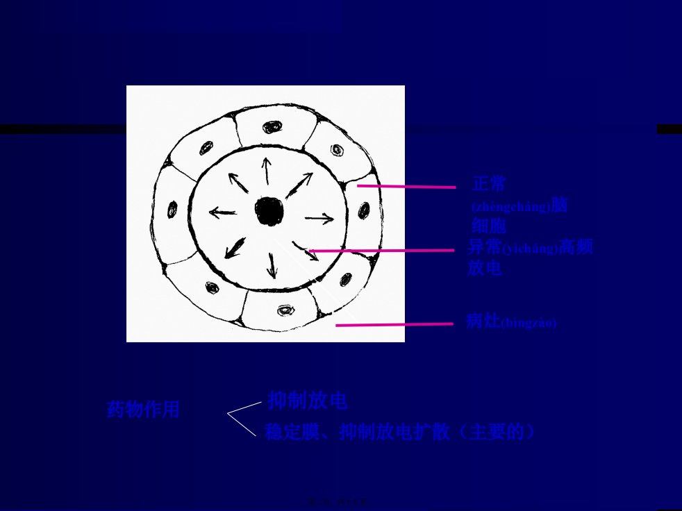 医学专题第15章抗癫痫和抗惊厥药