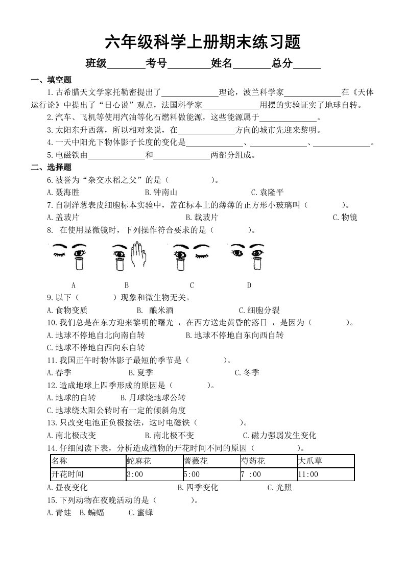 小学科学教科版六年级上册期末练习题+参考答案