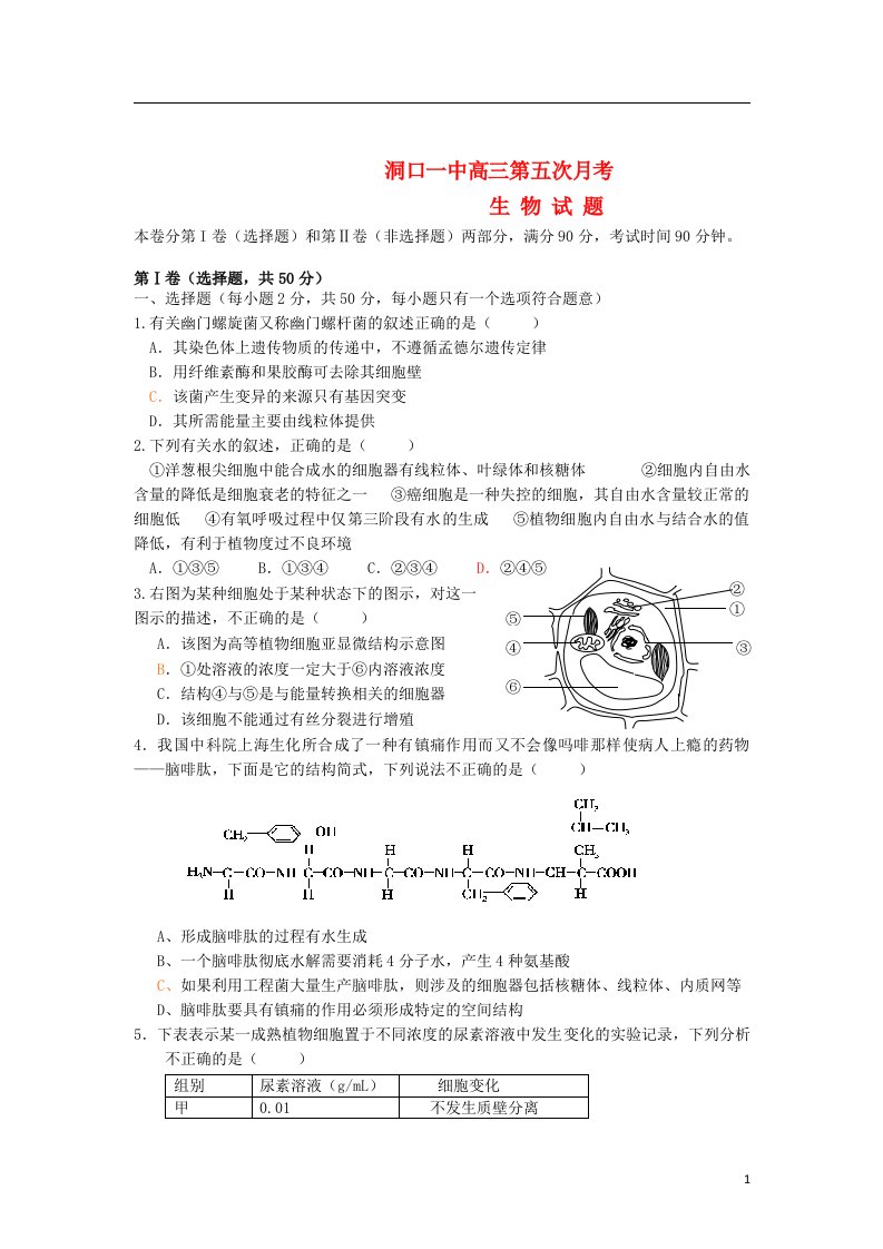 湖南省洞口县高三生物第五次月考试题新人教版