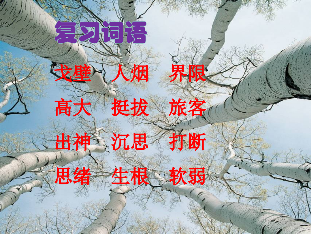 优质课《白杨》(完整版)