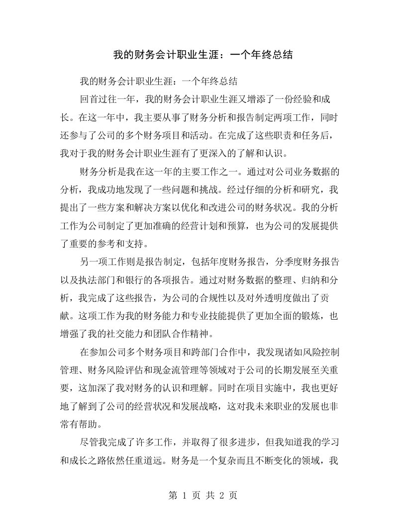 我的财务会计职业生涯：一个年终总结