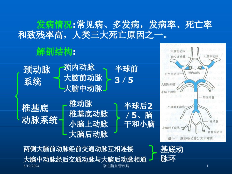 2021年急性脑血管疾病讲义