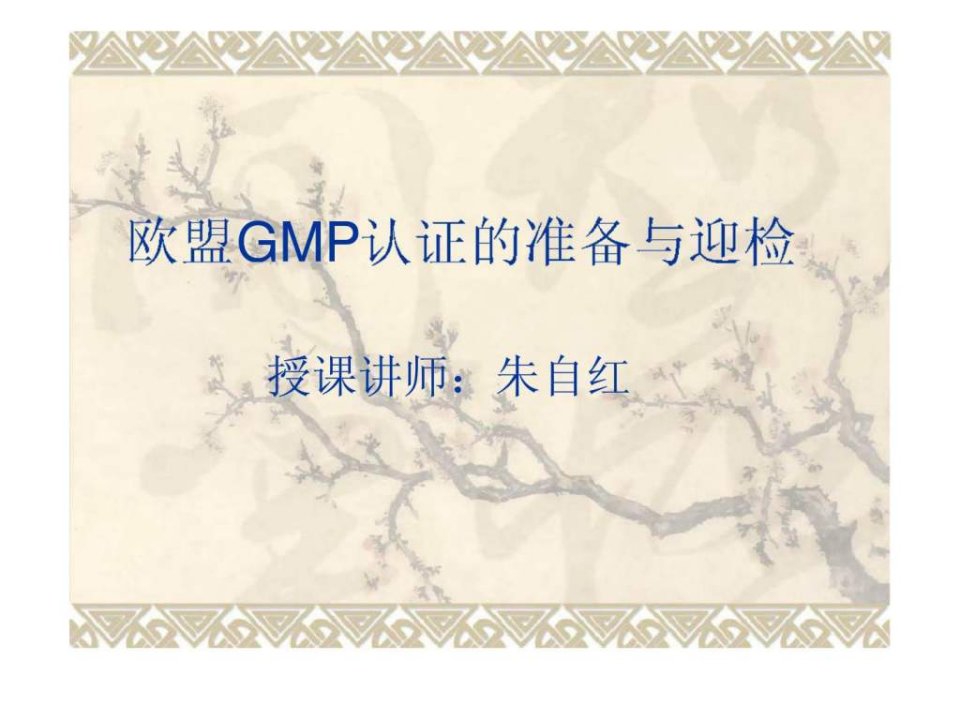 欧盟GMP认证的准备与迎检