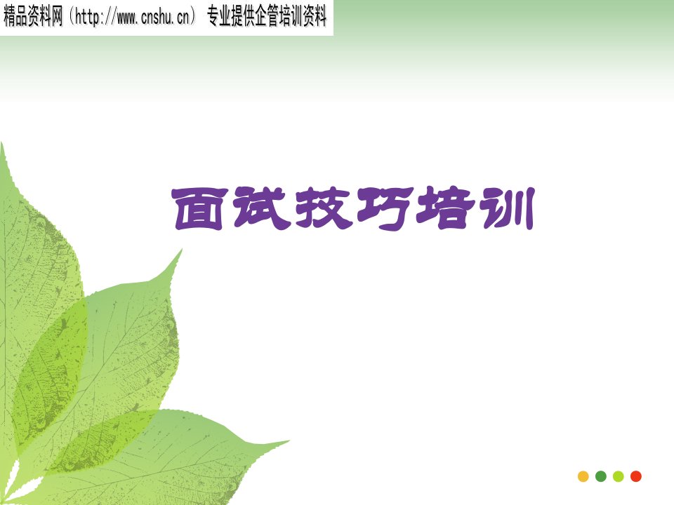 面试技巧培训--针对直线经理(PPT32页)