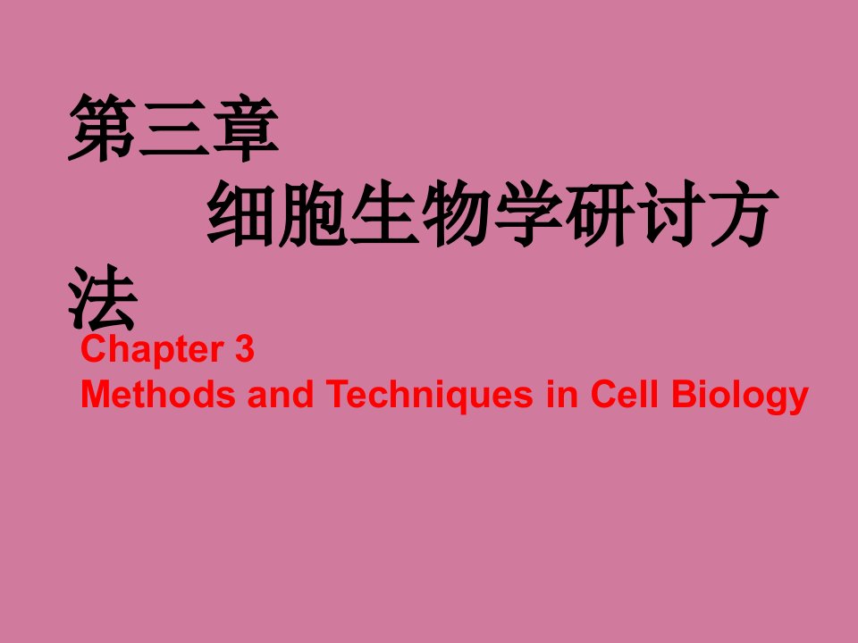 细胞生物学研究方法2ppt课件