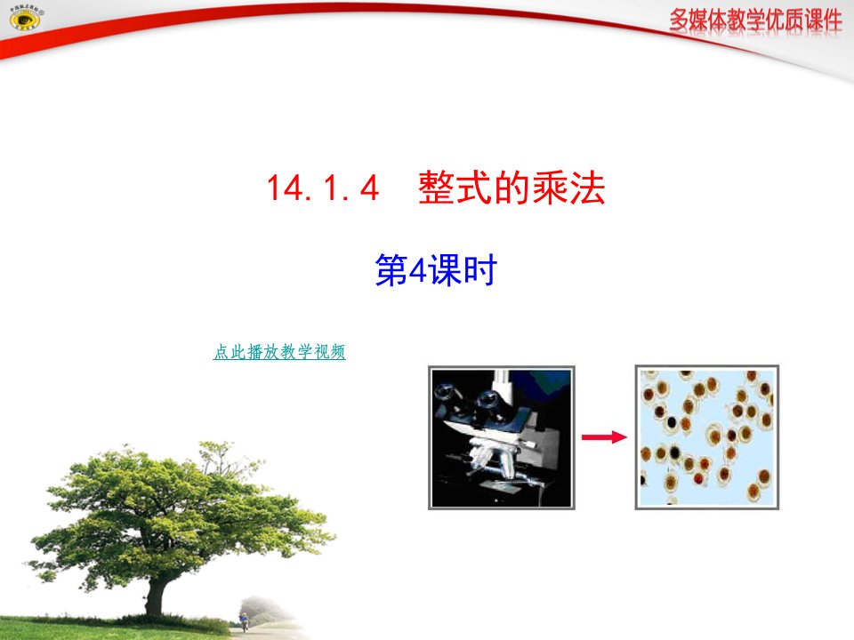 14.1+整式的乘法+第四课时+初二数学上册