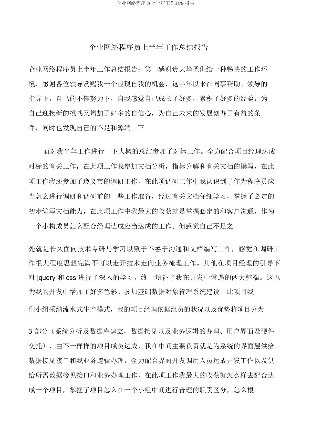 公司网络程序员上半年工作总结报告