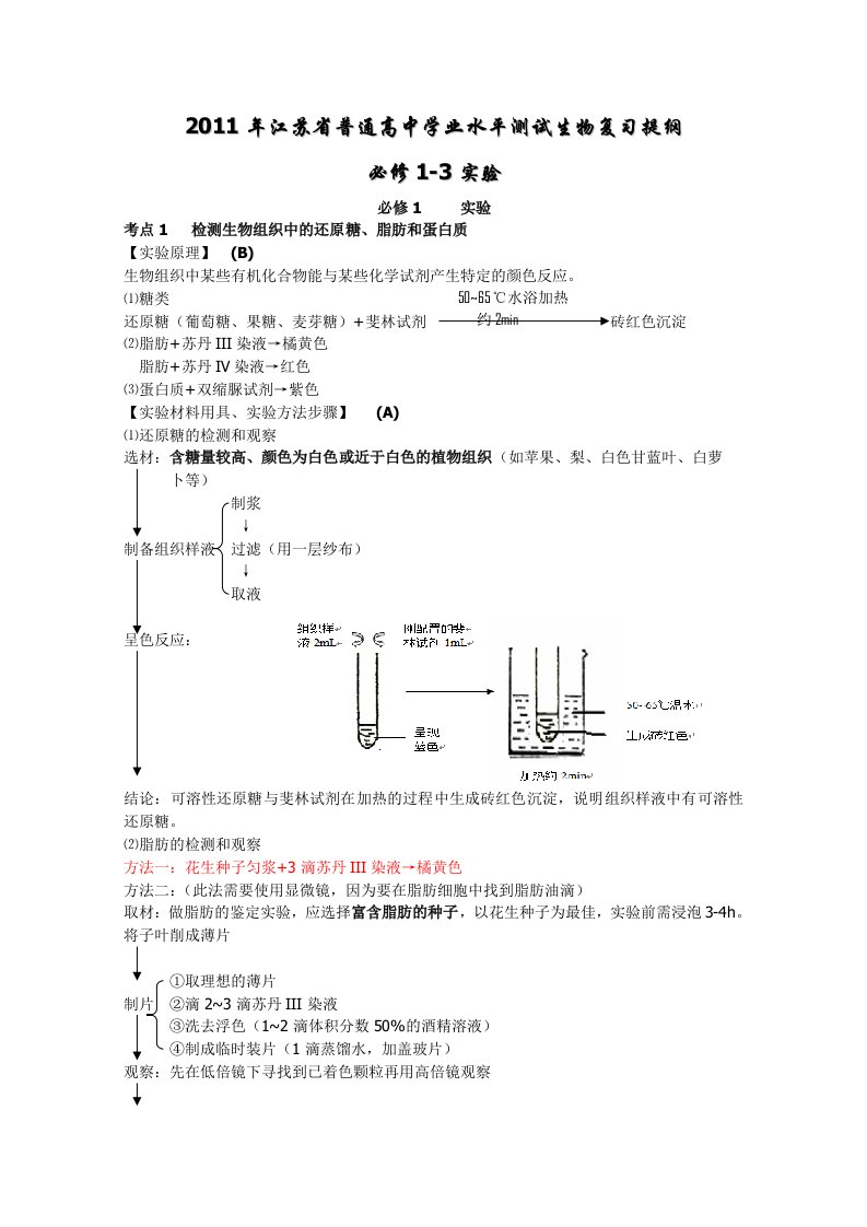 高中生物学业水平测试-必修-实验