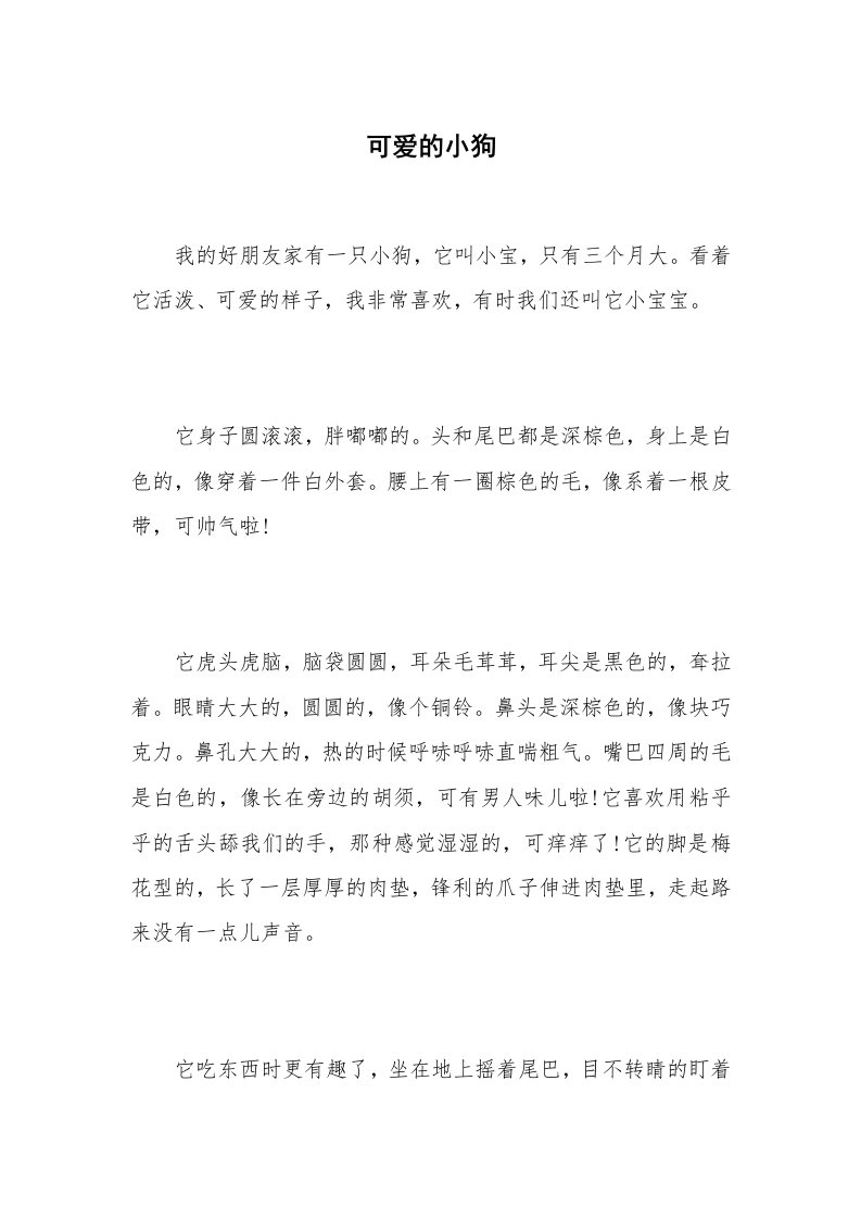 可爱的小狗