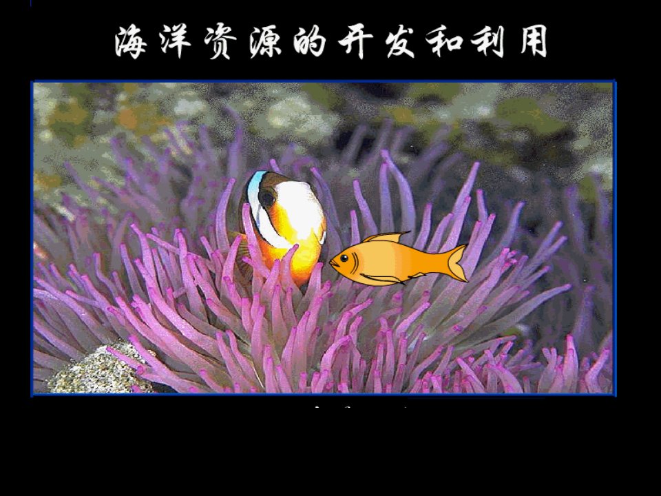 海洋资源的开发与利用课件