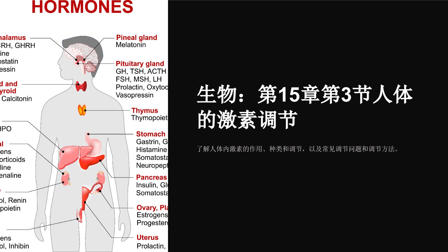 生物：第15章第3节人体的激素调节课件苏科版八年级上