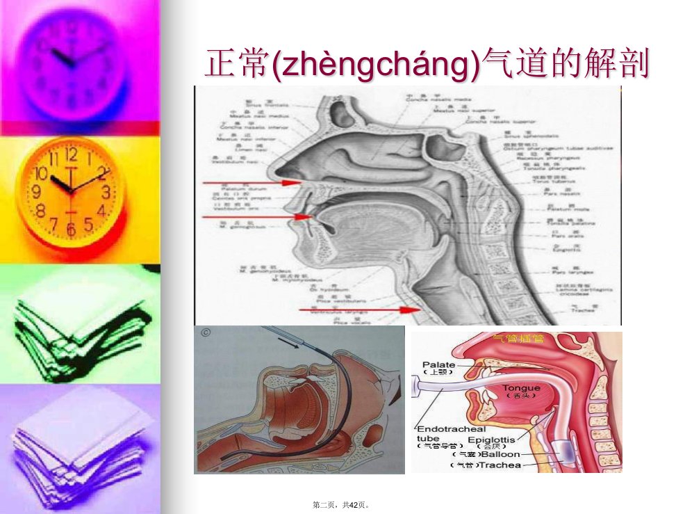 人工气道的建立和简易呼吸囊的应用技术备课讲稿