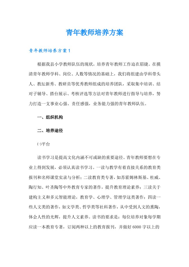 青年教师培养方案