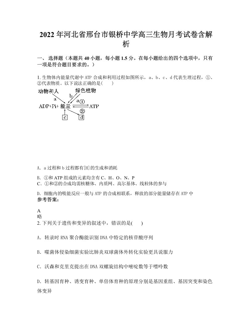 2022年河北省邢台市银桥中学高三生物月考试卷含解析