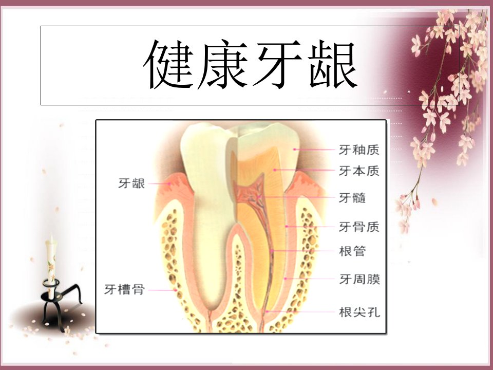 牙齿保健知识讲座