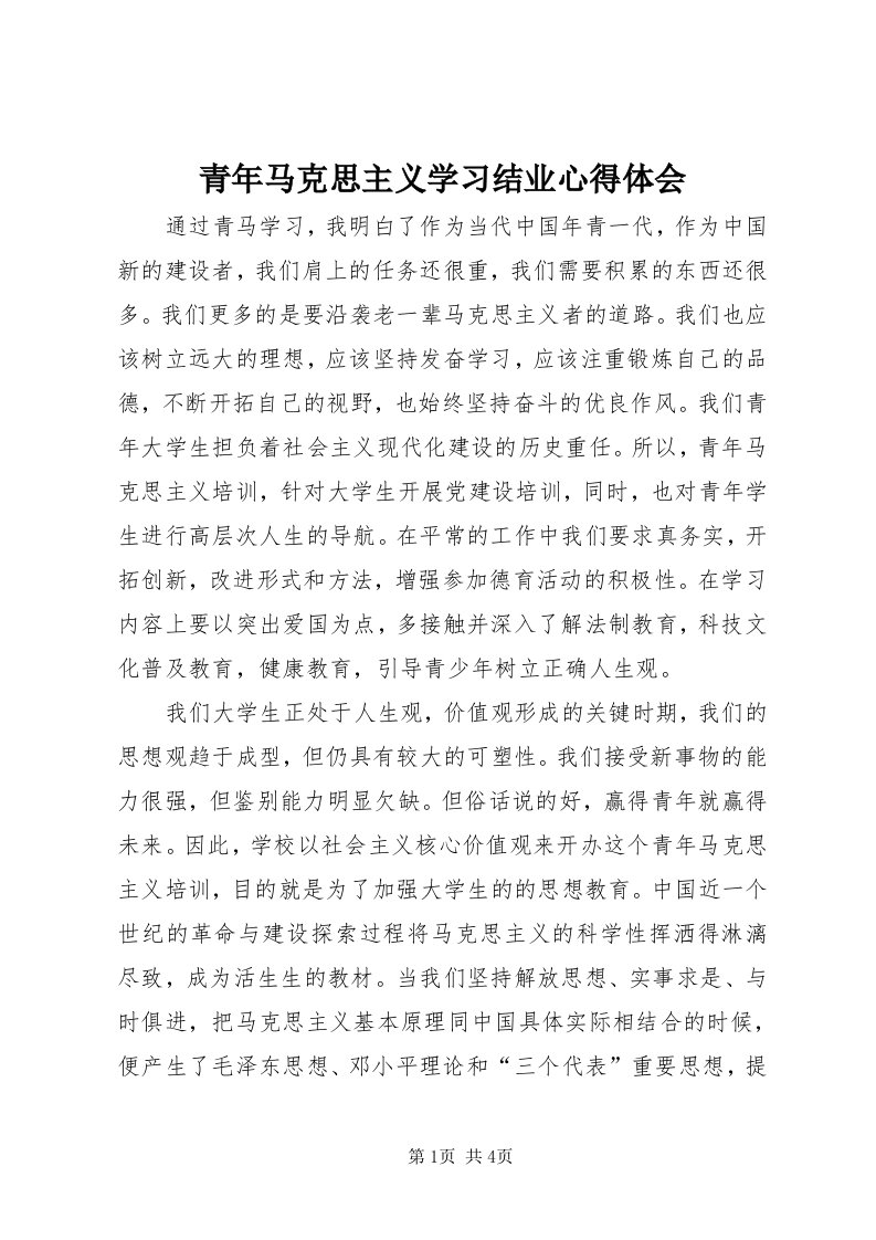 5青年马克思主义学习结业心得体会