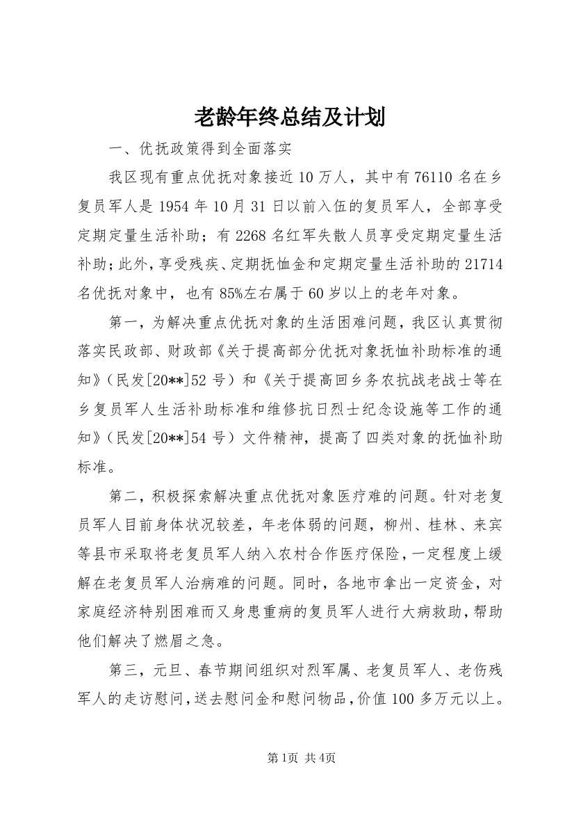 老龄年终总结及计划