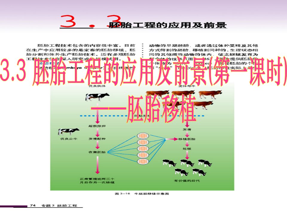 胚胎工程的应用及前景之胚胎移植公开课