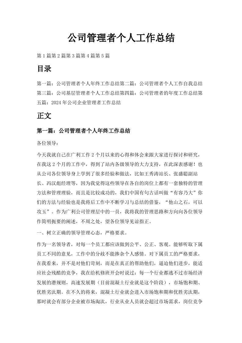 公司管理者个人工作总结