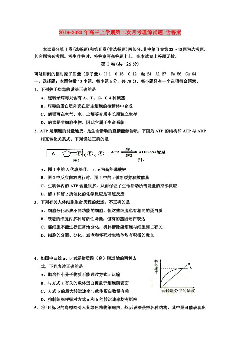 2019-2020年高三上学期第二次月考理综试题