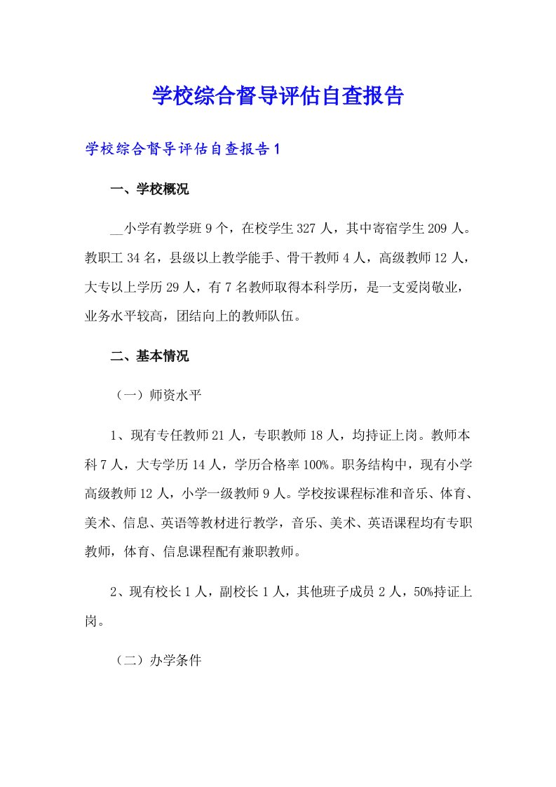 学校综合督导评估自查报告