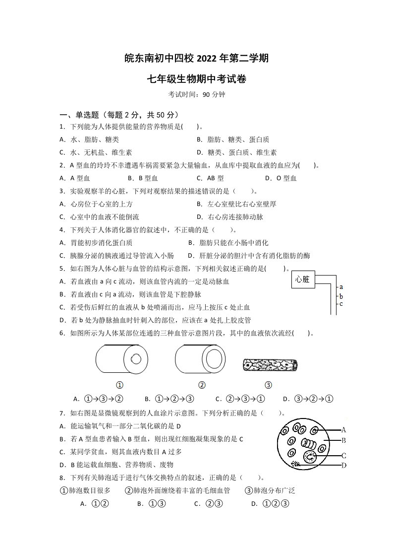 2022年安徽省芜湖市皖南四校七年级下学期期中生物试卷（含答案）