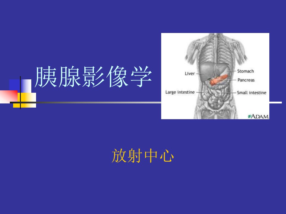 《胰腺影像学诊断》PPT课件