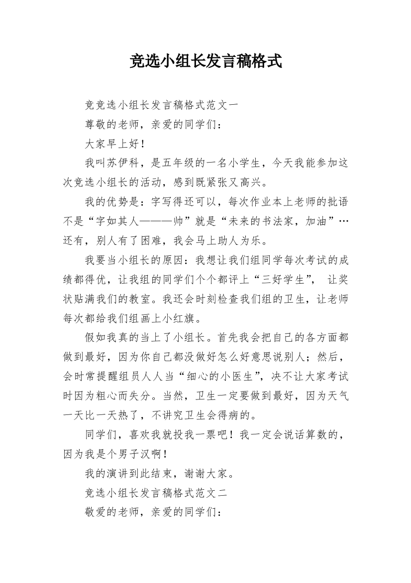 竞选小组长发言稿格式