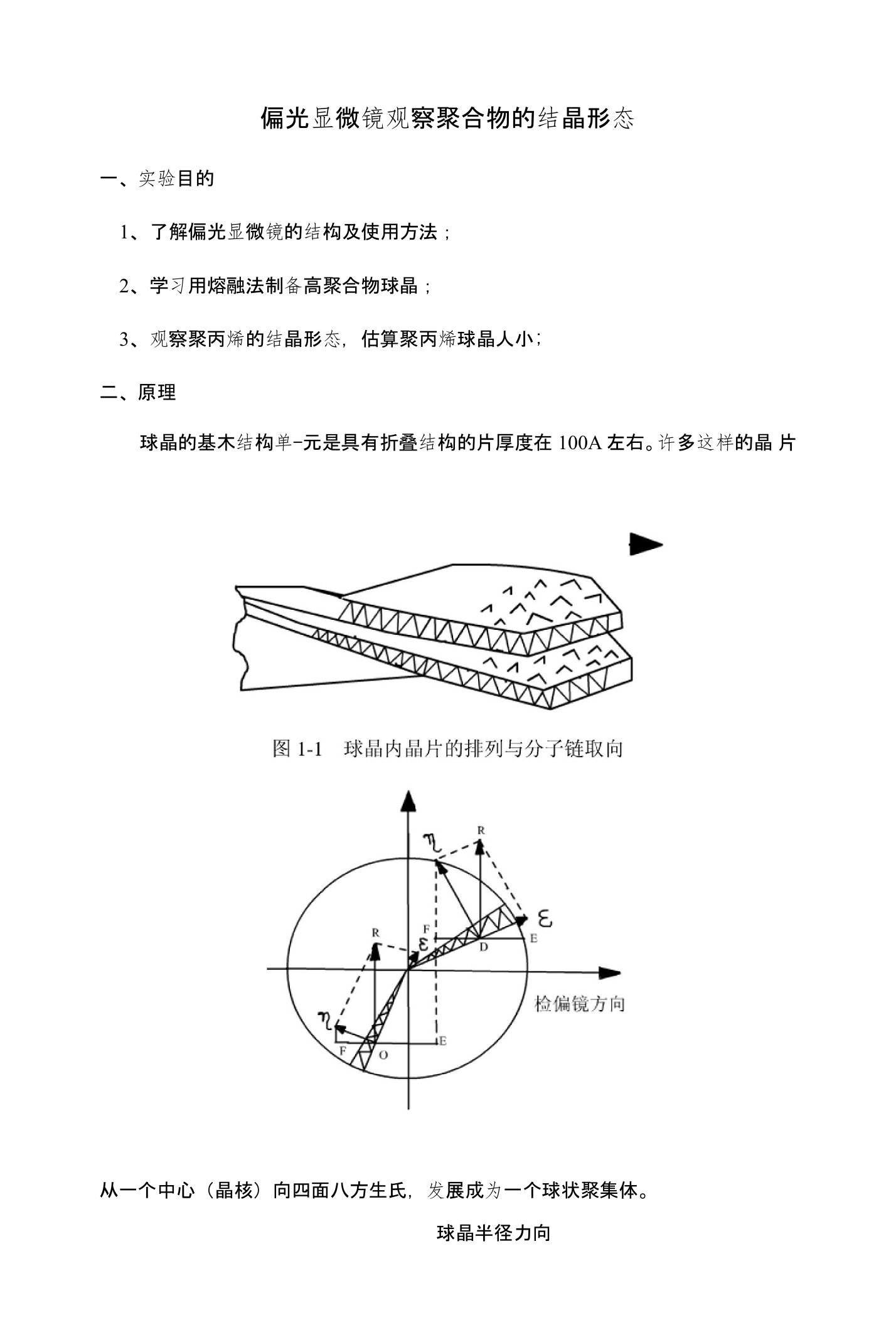 偏光显微镜观察聚合物的结晶形态