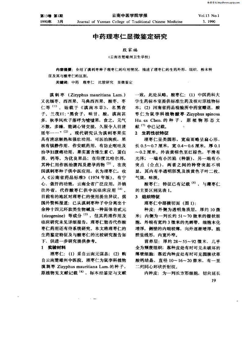 中药理枣仁显微鉴定研究.pdf