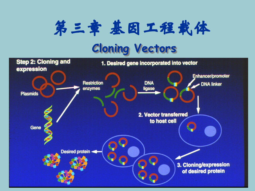 基因工程第三章2-Jun-finalversion
