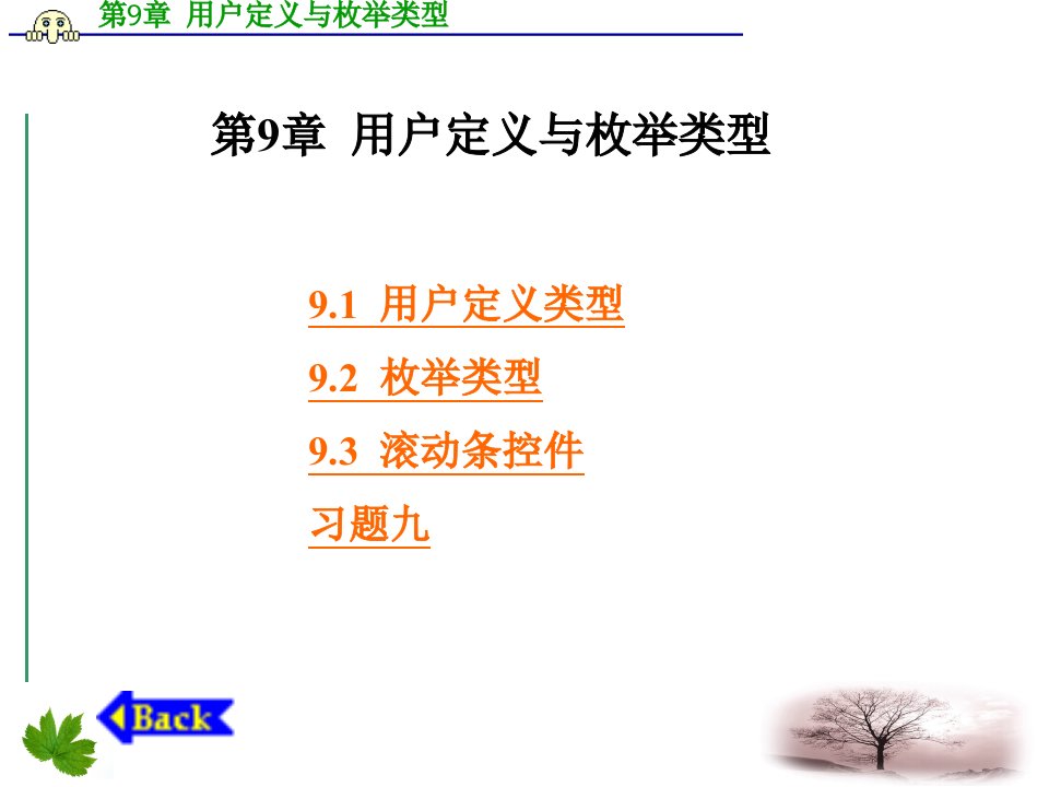 《vb编程技术》用户定义与枚举类型