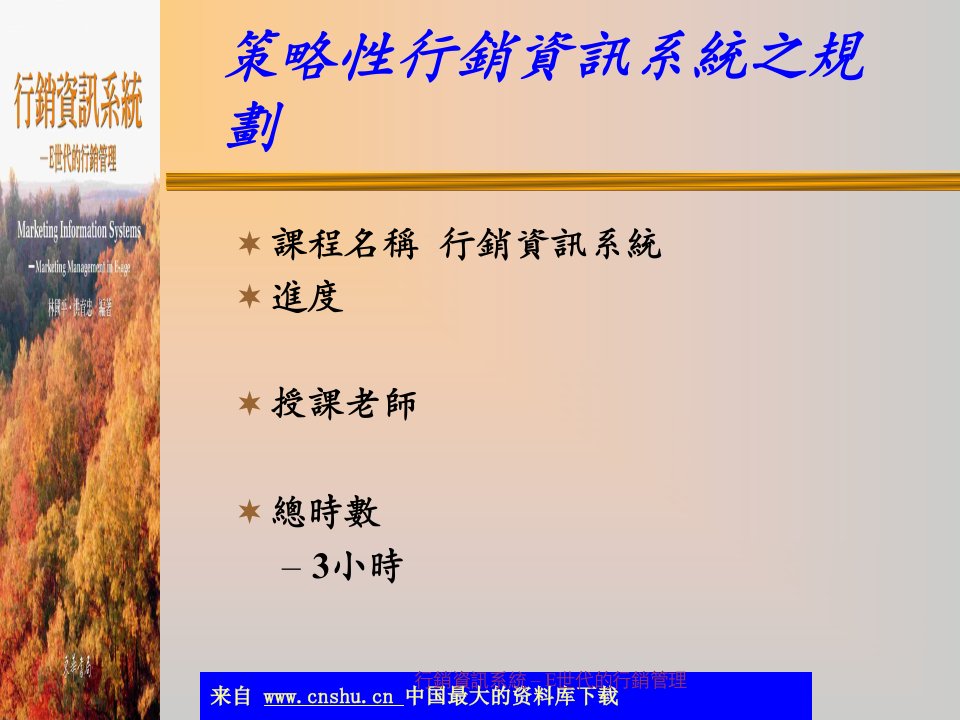 acb_策略性行销资讯系统之规划(ppt