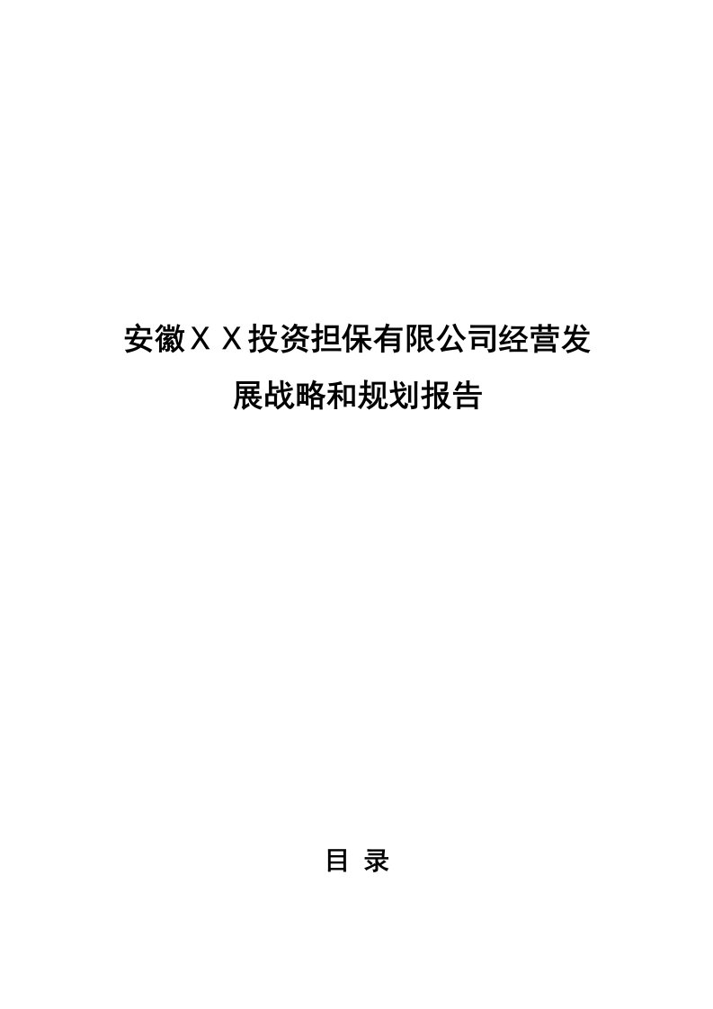 投资担保有限公司经营发展战略和规划报告