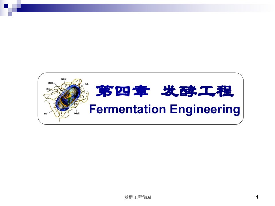 发酵工程final课件