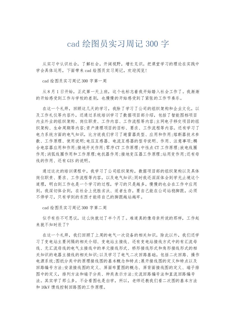 总结报告cad绘图员实习周记300字