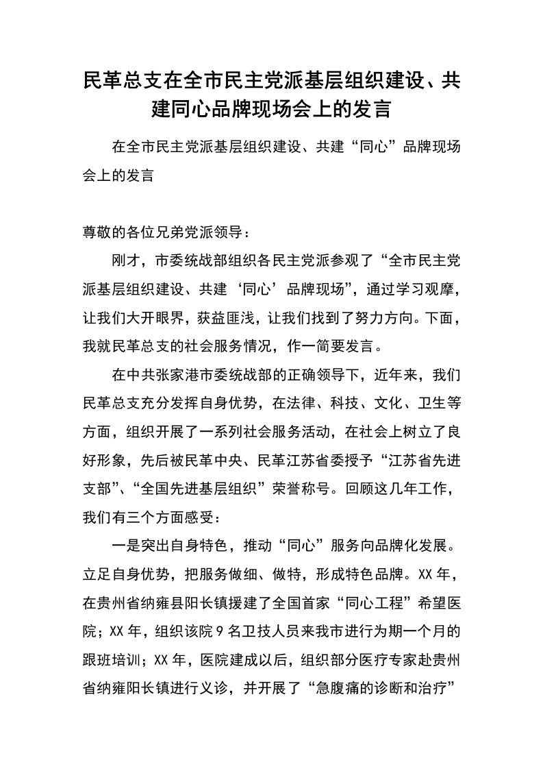 民革总支在全市民主党派基层组织建设、共建同心品牌现场会上的发言