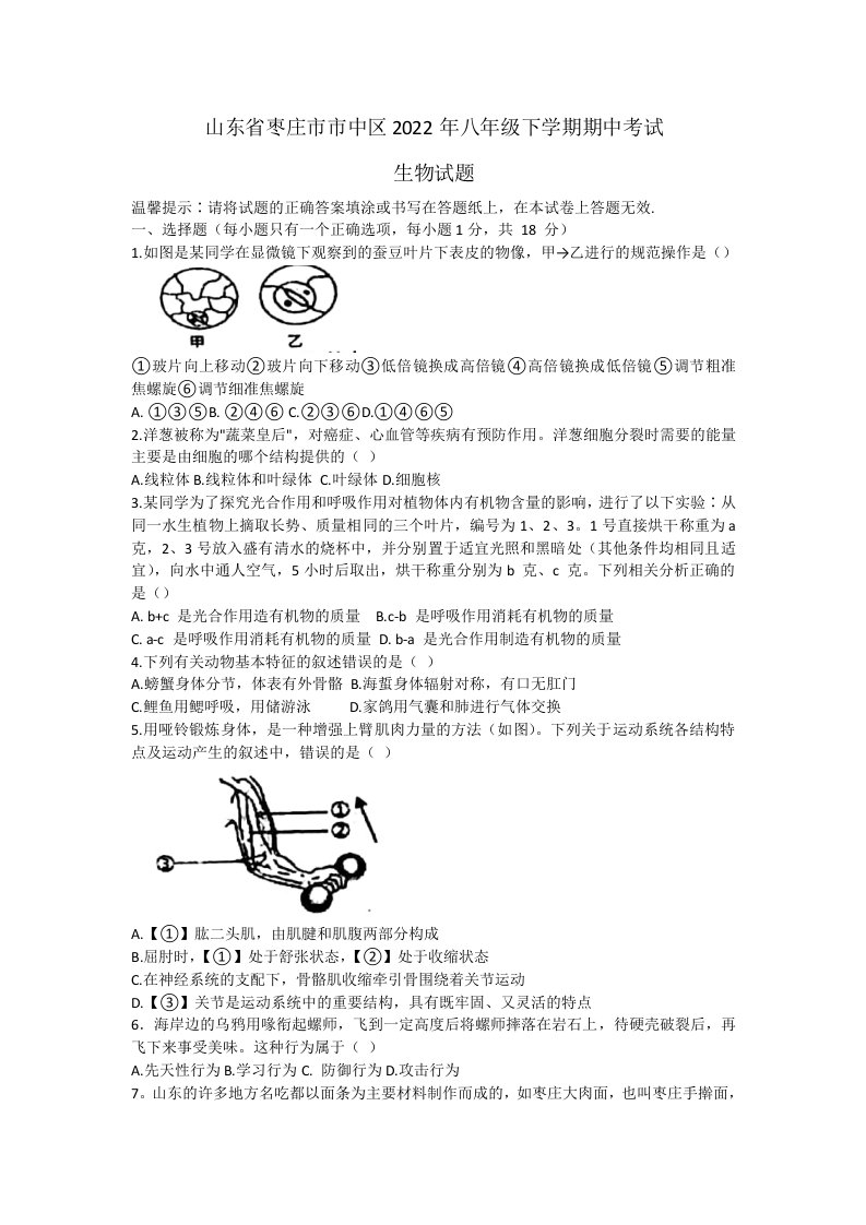 2022年山东省枣庄市市中区八年级下学期期中生物试卷（含答案）