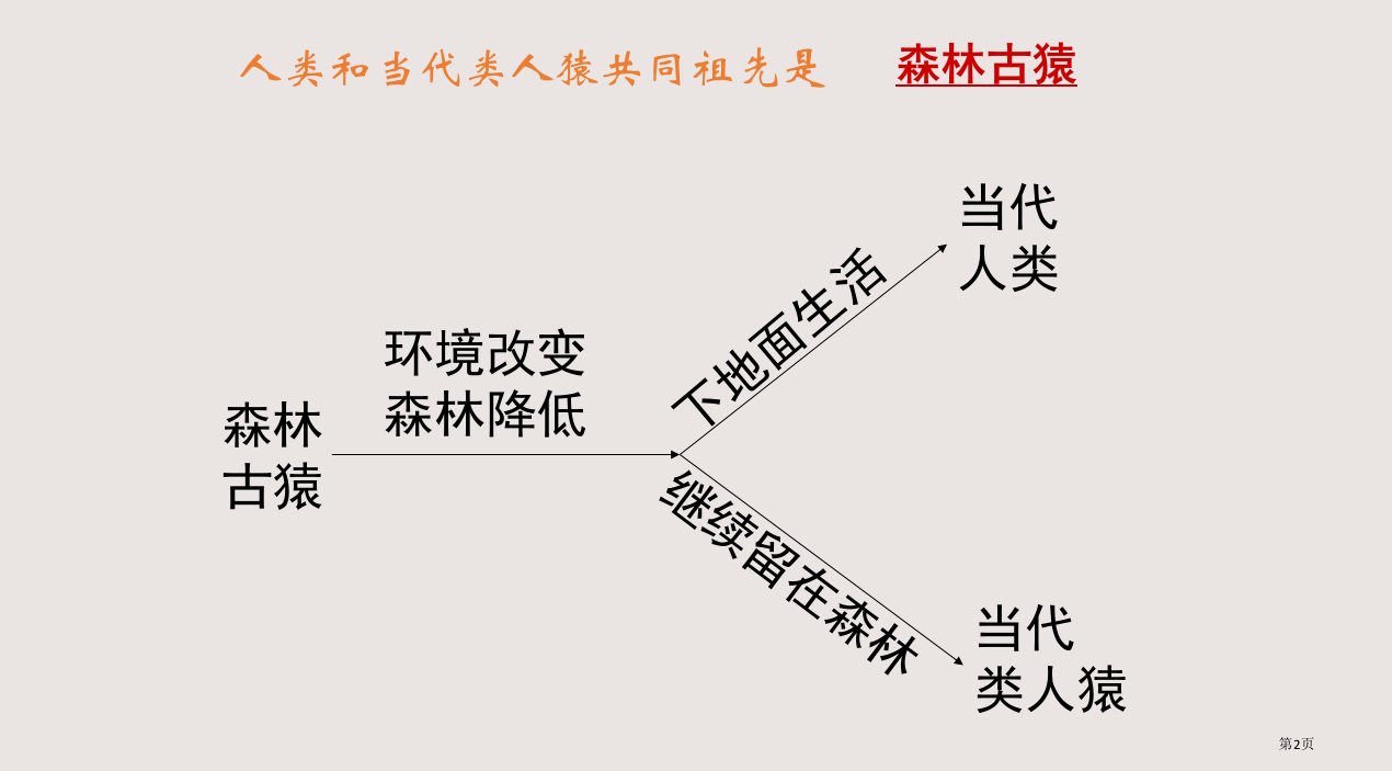 人教版七年级下册生物期末复习六课时市公开课一等奖省优质课获奖课件