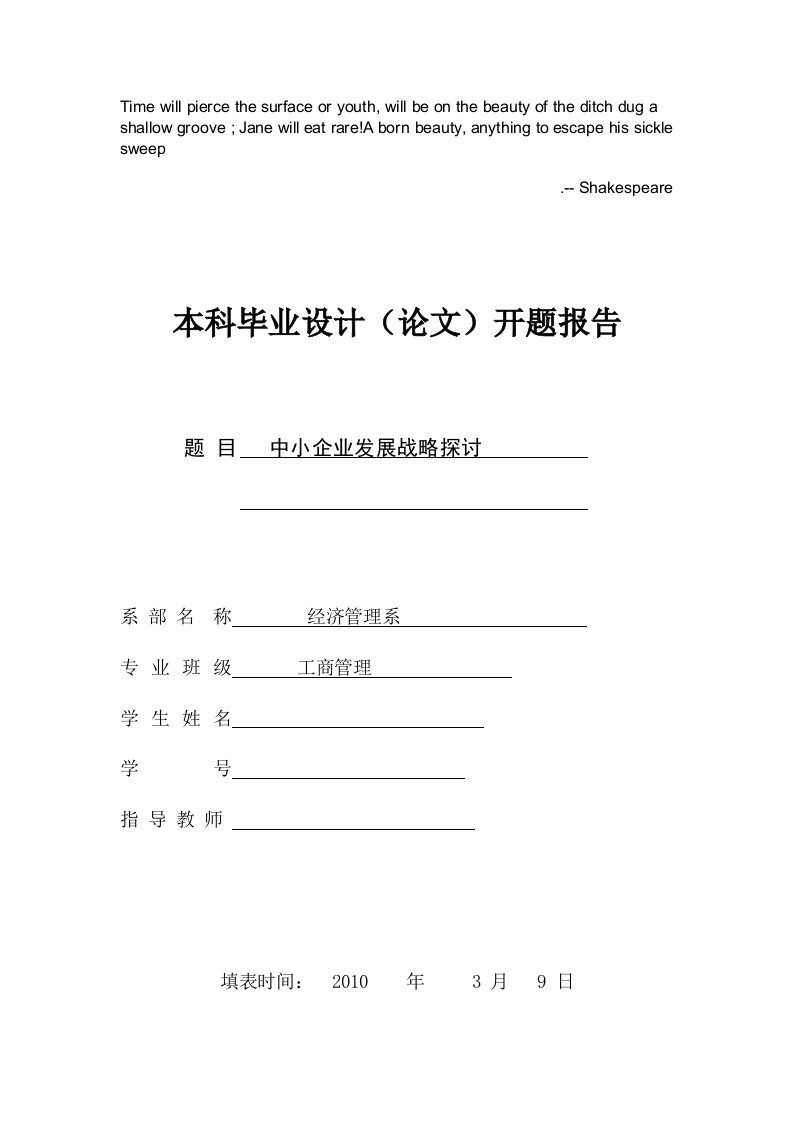 Adgovma中小企业发展战略研究开题报告