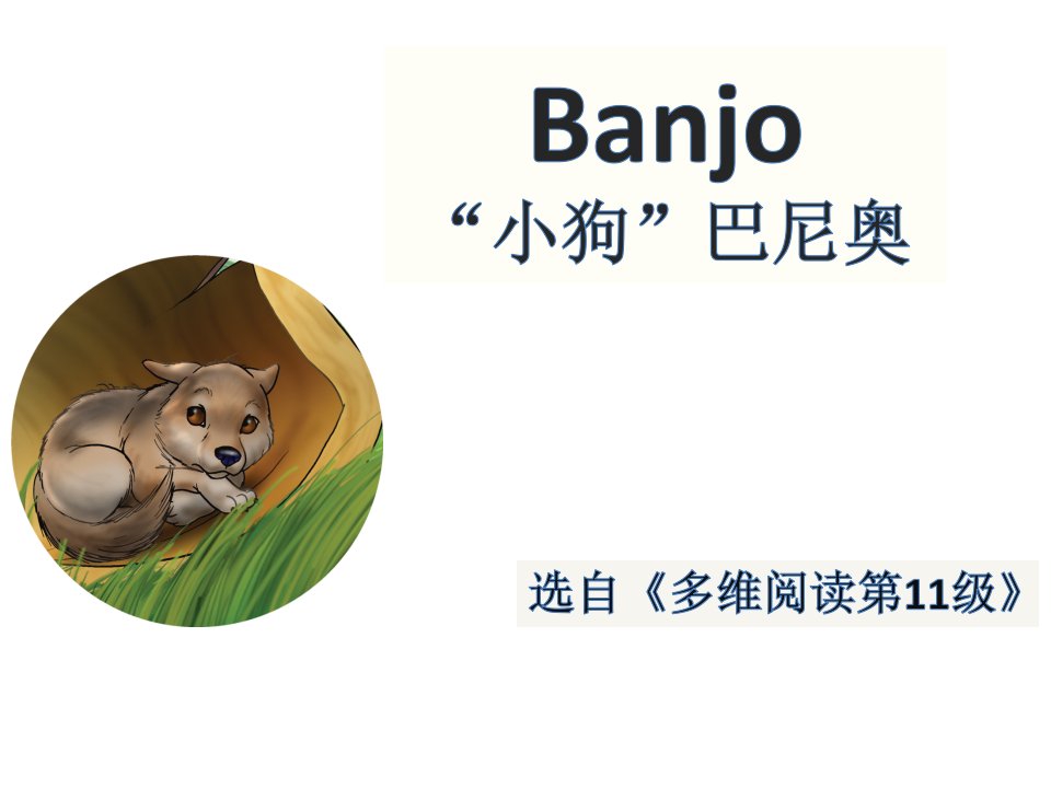 多维阅读第11级—Banjo