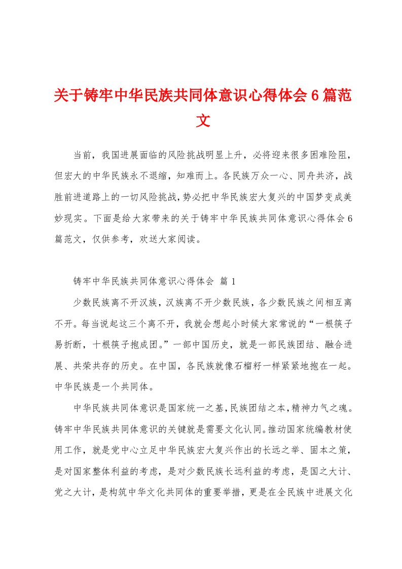 关于铸牢中华民族共同体意识心得体会6篇范文