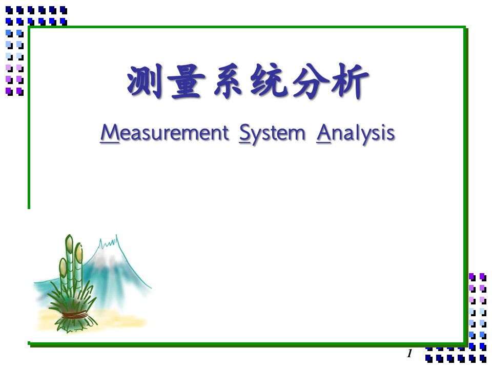 MSA教材最新版