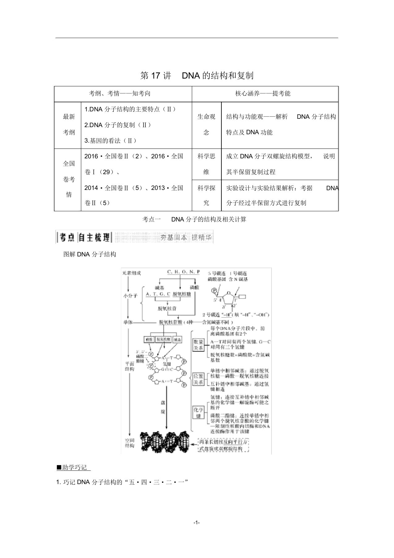 高考生物总复习第17讲DNA的结构和复制教案苏教版
