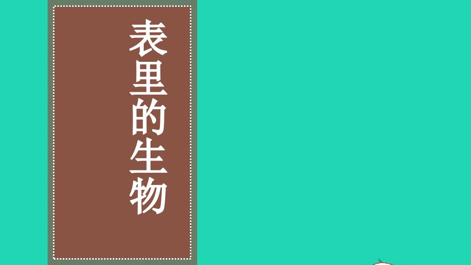 六年级语文下册第五单元16表里的生物教学课件新人教版